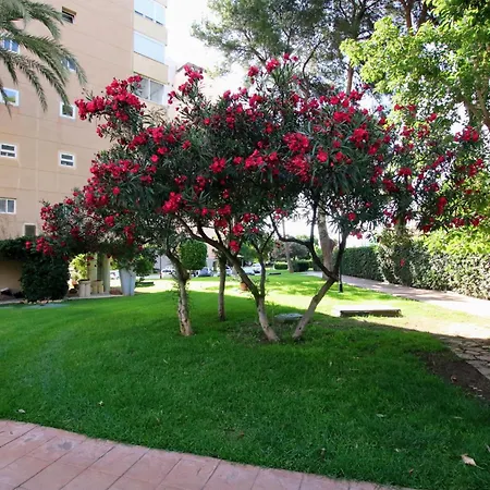 Appartamento Tess Playamar Beach La Torre